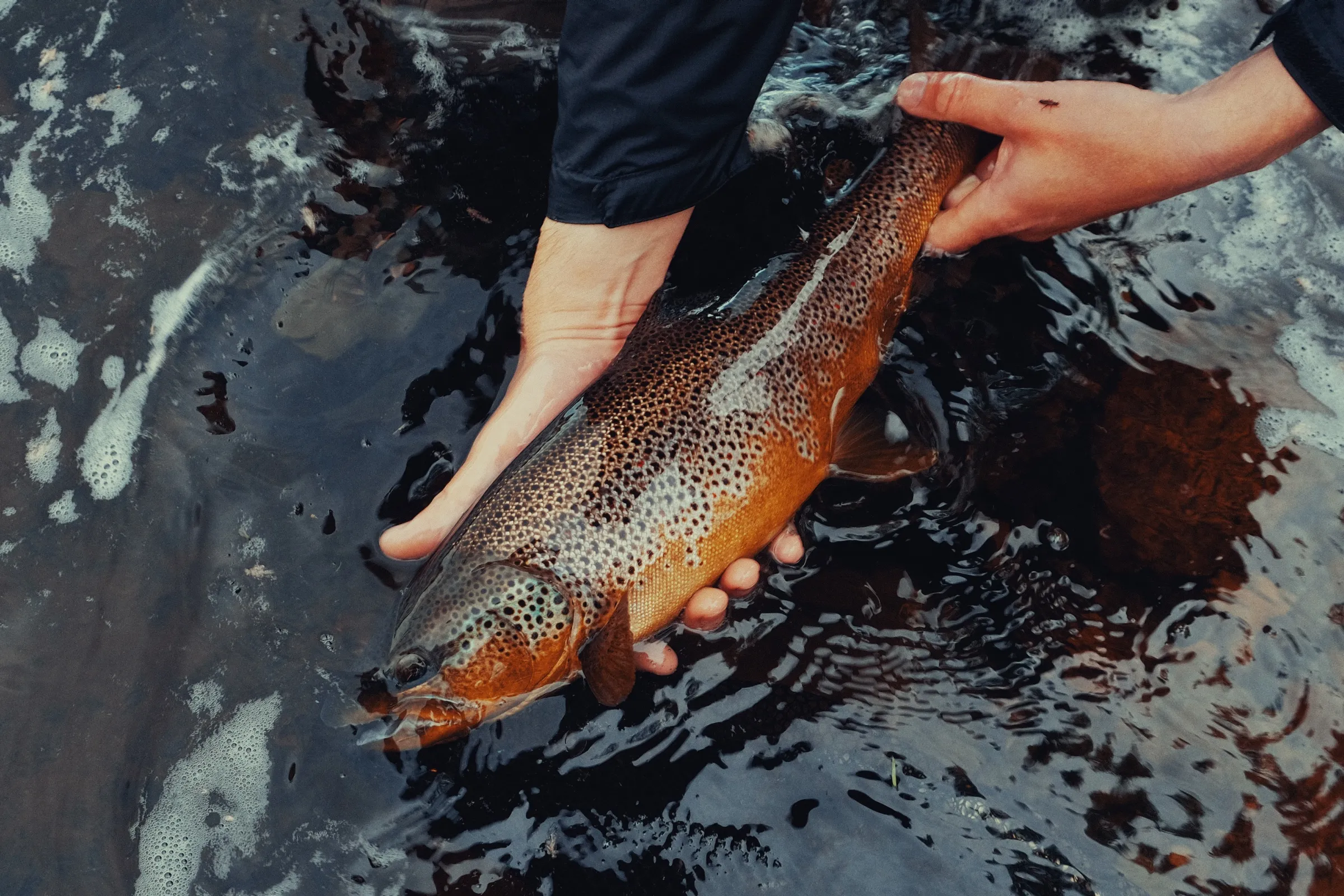 Finnmark Fly Fishing