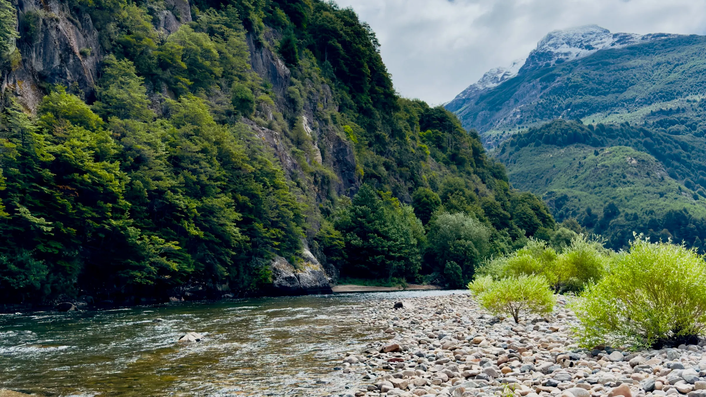 A clear Patagonian river below forested cliffs, a snow-capped peak beyond